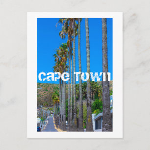Cape Town Fresnaye Cityscape South Africa Postcard