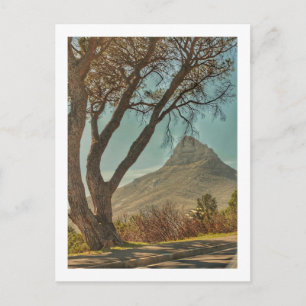Cape Town Lion's Head Landscape South Africa Postcard