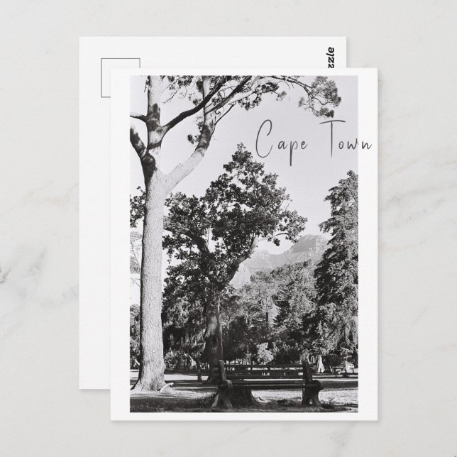 Cape Town Park Nature Mountain South Africa ZA Postcard (Front/Back)