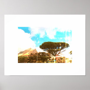 Cape Town Table Mountain Pine Tree View Poster