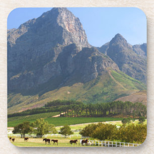 Cape Town, Western Cape, South Africa Coaster