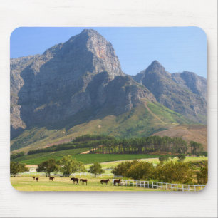 Cape Town, Western Cape, South Africa Mouse Pad