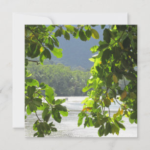 Cape Tribulation Flat Card