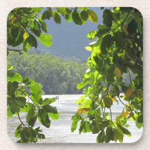 Cape Tribulation Hard Plastic Coaster