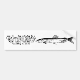 Capelin - Bumper Sticker
