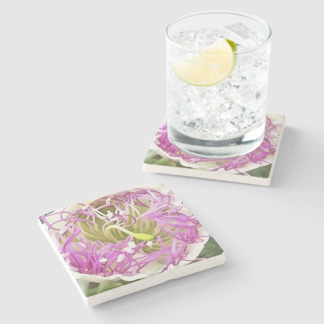 Caper Flower Blossom Botanical Art Stone Coaster (Side)