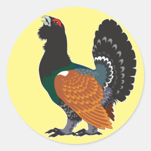 capercaillie classic round sticker