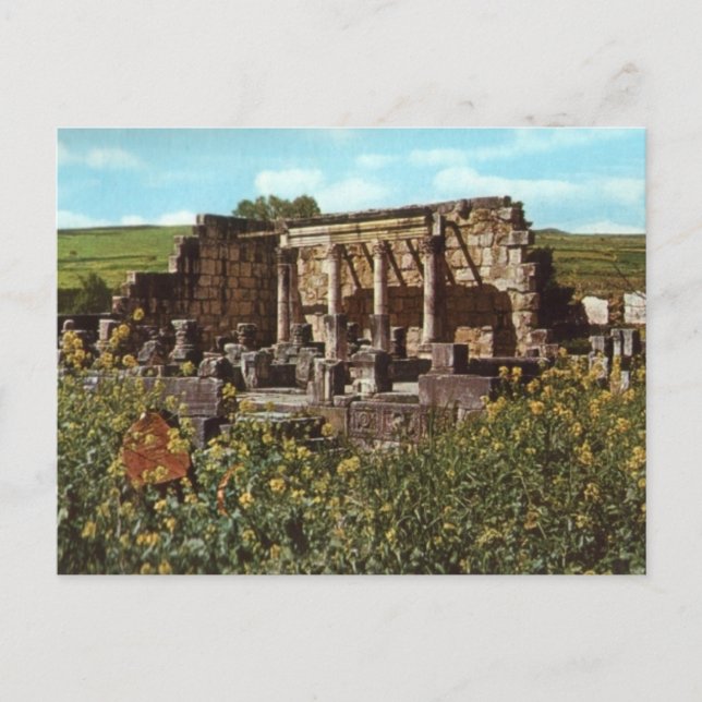 Capernaum, Galilee,, Early Synagogue Postcard (Front)