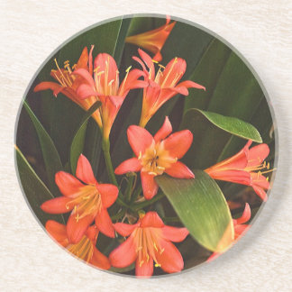Capetown Flowers Coaster