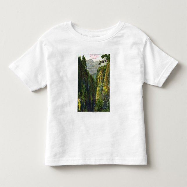 Capilano Canyon View of Crown Mountain Toddler T-Shirt (Front)