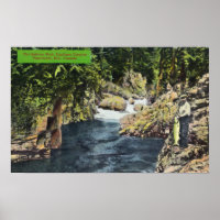 Capilano Canyon View of the Salmon Pool