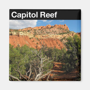 Capital Reef National Park Magnet
