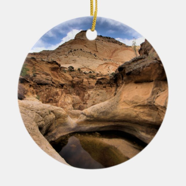 CAPITAL REEFS CERAMIC TREE DECORATION (Front)