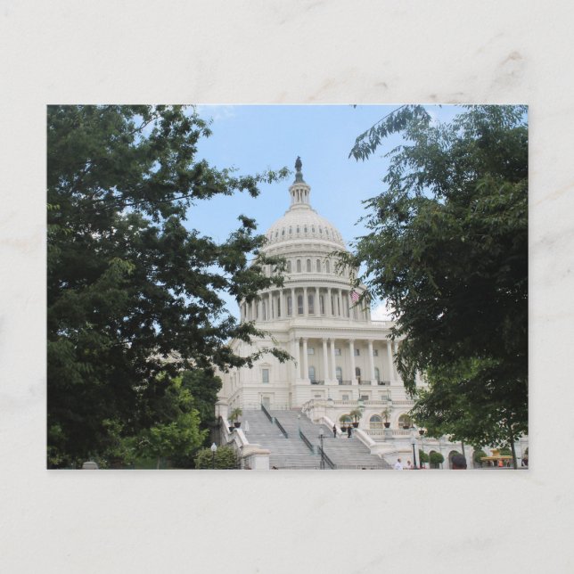 Capitol Building Framed Trees Postcard (Front)