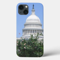 Capitol Building from Bartholdi Park