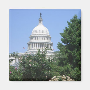 Capitol Building from Bartholdi Park Magnet