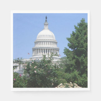 Capitol Building from Bartholdi Park Napkin