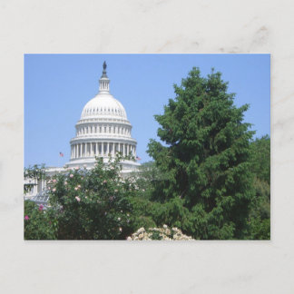 Capitol Building from Bartholdi Park Postcard