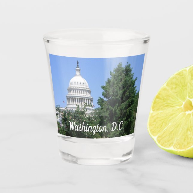 Capitol Building from Bartholdi Park Shot Glass (Front)