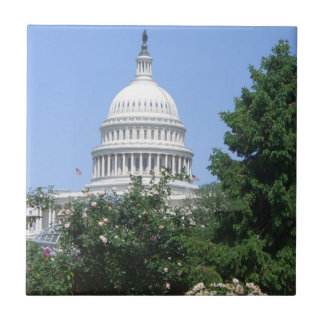 Capitol Building from Bartholdi Park Tile