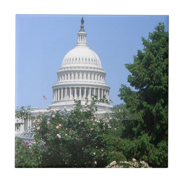 Capitol Building from Bartholdi Park Tile (Front)
