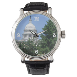 Capitol Building from Bartholdi Park Watch