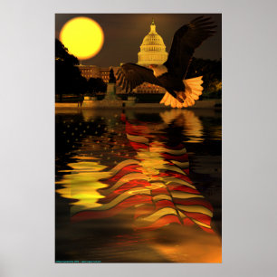 Capitol-Eagle-Flag-W-O-Sun-ray-set-2 Poster