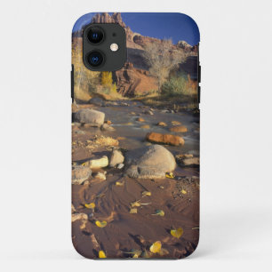 CAPITOL REEF NATIONAL PARK, UT, US, Cottonwood Case-Mate iPhone Case
