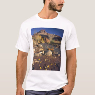 CAPITOL REEF NATIONAL PARK, UT, US, Cottonwood T-Shirt