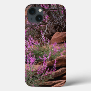 Capitol Reef National Park, Utah, USA iPhone 13 Case