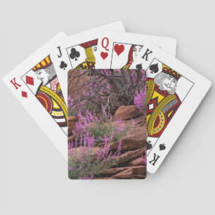 Capitol Reef National Park, Utah, USA Playing Cards