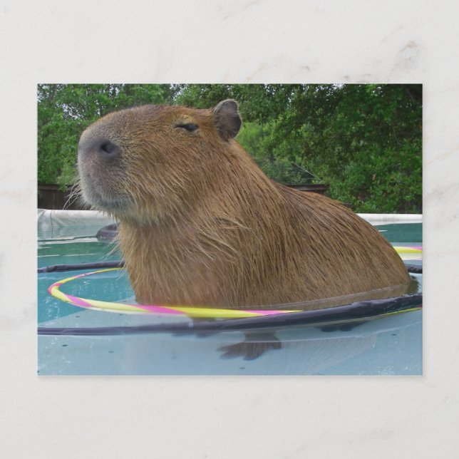 Caplin Rous with Hoola Hoops Postcard (Front)