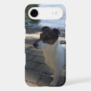 Capo von Oppenheim, Jack Russell Terrier Dog