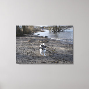 Capo von Oppenheim, Jack Russell Terrier Dog Canvas Print