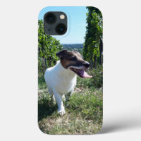 Capo von Oppenheim Jack Russell Terrier, Dog