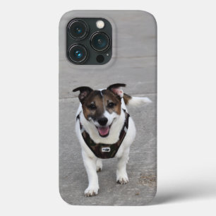 Capo von Oppenheim, Jack Russell Terrier Dog iPhone 13 Pro Case