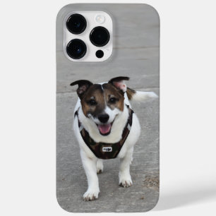 Capo von Oppenheim, Jack Russell Terrier Dog Case-Mate iPhone 14 Pro Max Case