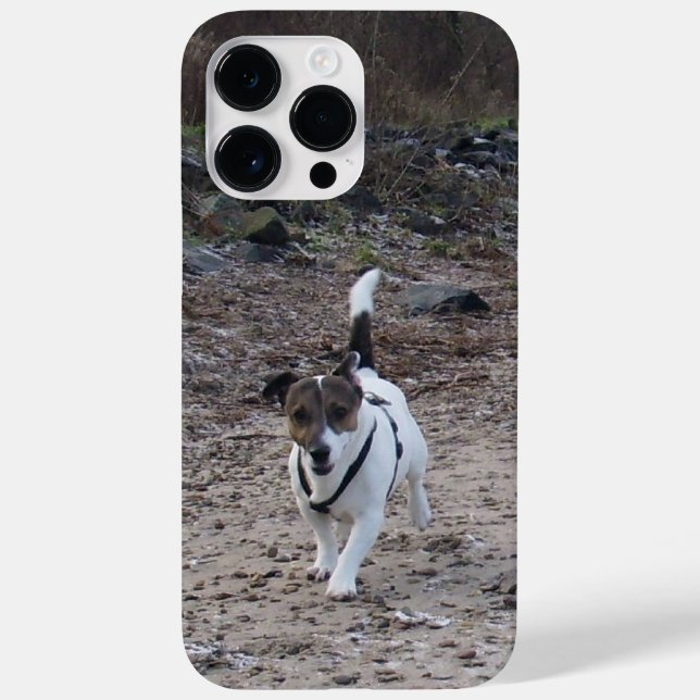 Capo von Oppenheim, Jack Russell Terrier Dog Case-Mate iPhone Case (Back)