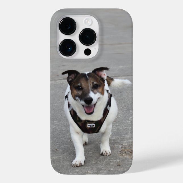Capo von Oppenheim, Jack Russell Terrier Dog Case-Mate iPhone Case (Back)