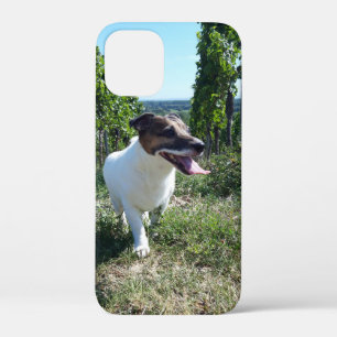 Capo von Oppenheim Jack Russell Terrier, Dog iPhone 12 Mini Case