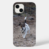 Capo von Oppenheim, Jack Russell Terrier Dog