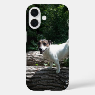 Capo von Oppenheim Jack Russell Terrier, Dog iPhone 16 Case