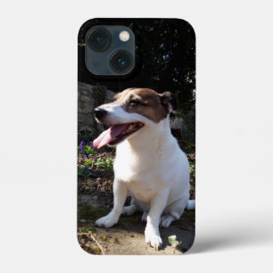 Capo von Oppenheim Jack Russell Terrier, Dog iPhone 13 Mini Case