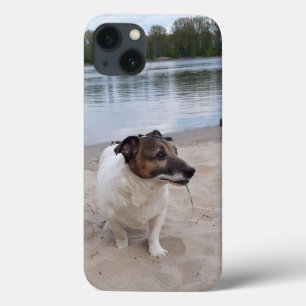 Capo von Oppenheim, Jack Russell Terrier Dog iPhone 13 Case