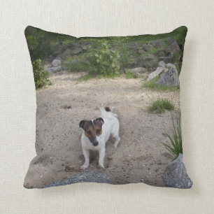 Capo von Oppenheim Jack Russell Terrier, Dog Cushion