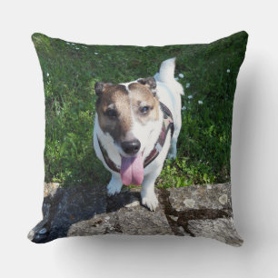 Capo von Oppenheim, Jack Russell Terrier Dog Cushion