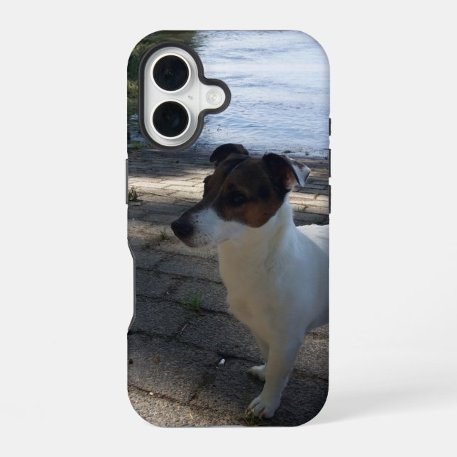 Capo von Oppenheim, Jack Russell Terrier Dog iPhone 16 Case (Back)