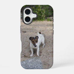 Capo von Oppenheim Jack Russell Terrier, Dog iPhone 16 Case