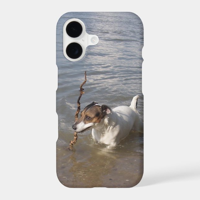 Capo von Oppenheim, Jack Russell Terrier Dog iPhone Case (Back)