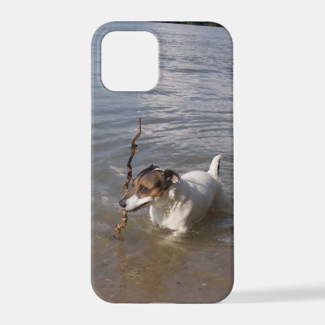 Capo von Oppenheim, Jack Russell Terrier Dog iPhone Case (Back)
